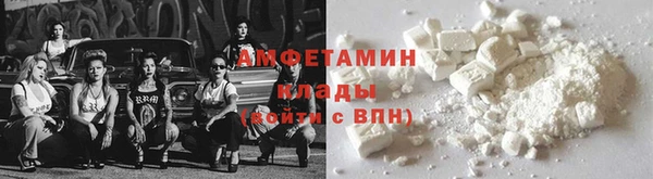 шишки Белоозёрский