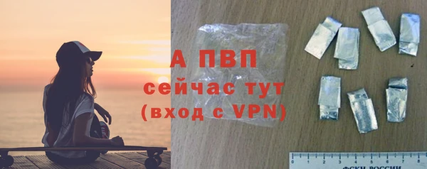 шишки Белоозёрский