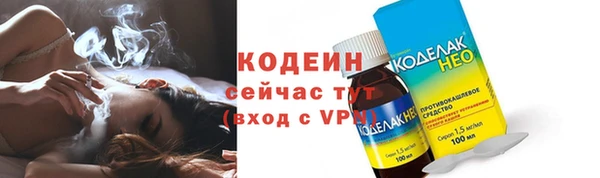 шишки Белоозёрский
