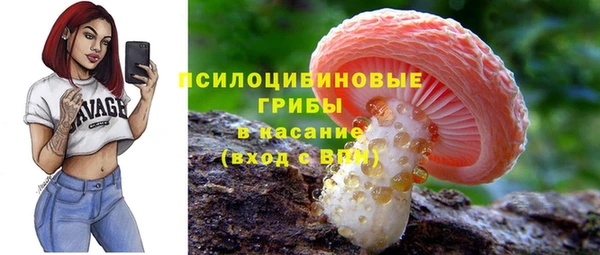 тгк Беломорск