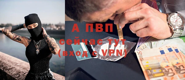 шишки Белоозёрский