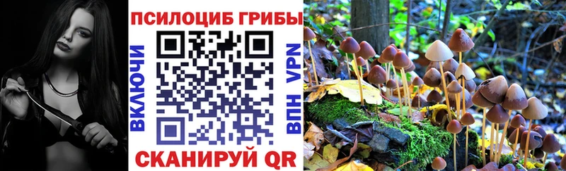 Галлюциногенные грибы Psilocybine cubensis  Наро-Фоминск 